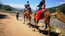 Marrakech: Atlas Mountains & Berber Villages Tour & Camel Ride