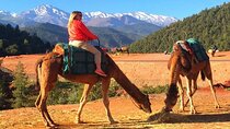  Marrakech: Atlas Mountains & Three valleys with Camel Ride