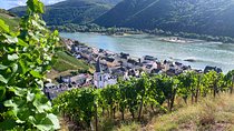 Rhine Valley Wine Tasting Tour from Frankfurt and Mainz