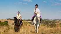 Horseback Small-Group Trail Rides in Muldersdrift
