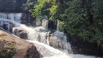 Private Waterfalls and Still Jeep 4x4 6hrs by Jango Paraty