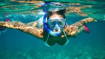 Snorkeling Experience in Cabo San Lucas (4 hours)