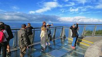 Skywalk, Vineyards, Landscapes and 4x4 Experience in Madeira