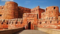 8-Day Private Golden Triangle Tour from New Delhi