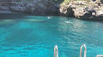 Capri Island Group Tour from Sorrento