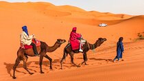 1 night Merzouga camel Trekking