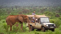 3-Day Samburu Luxury Safari