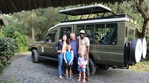4-Day Maasai Mara and Lake Nakuru Safari from Nairobi