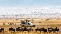 5-Days Private Safari Tour in Trangire, Serengeti, and Ngorongoro Crater