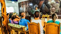 Cabo San Lucas Tequila Tasting Experience