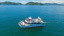 Full Day Tour to Tortuga Island from San José