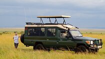 2-Day Masai Mara Luxury Safari
