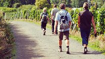 Wine Hiking Sip & Trek