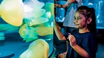 SEA LIFE Sydney Aquarium Entrance Ticket
