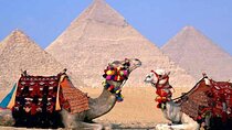Full Day Tour to All Giza Pyramids, Memphis, Sakkara from Cairo