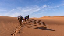 Morocco desert trek (8 days)