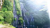 Unforgettable Tour Lovina See Dolphin And Banyumala Waterfall