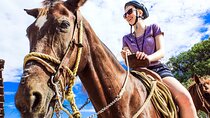Tulum Jungle Horseback Ride + Cenote Dip & Traditional Lunch