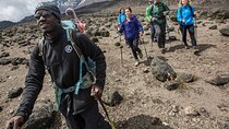 8 Days Climbing Of Mount Kilimanjaro Machame Route In Tanzania