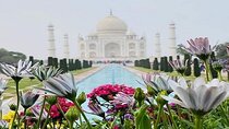 Sameday Taj Mahal Tour From Delhi With Lunch at 5 Star Hotel