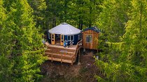 Private Glamping at Forest Tower with transportation from CPH