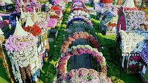 Dubai Miracle Garden and Butterfly Garden with Private Transfers