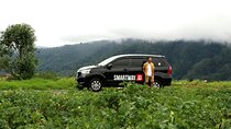Private Car rental with English Speaking Driver Exploring Malang city Batu city