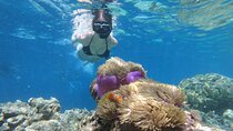 Snorkeling Tour at Blue Lagoon with Private Hotel Transfer 