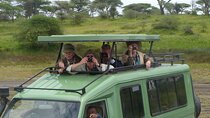 4 Days Ngorongoro & Serengeti Safari from Arusha