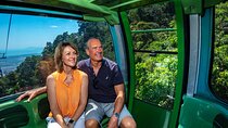 Sightseeing Kuranda Self-Driving Tour