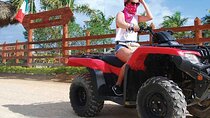 ATV TOURS Half Day Tours / and Plus