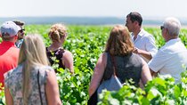 Burgundy Wine Tasting Small-Group Tour in Chablis from Paris