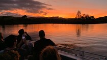 Daintree River 'Sunset' Cruise with the Daintree Boatman
