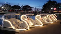 Illuminated Swan Boat Night Ride on Rainbow Lagoon in Long Beach