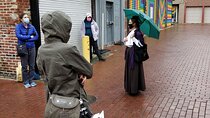 Historic Alleyways Guided Walking Tour of Washington DC