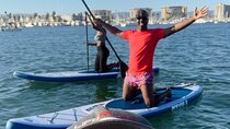 Marina del Rey Paddleboard Tour