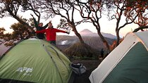 2 Days - Bromo Camping // 14.00 - 13.00