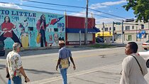 La Perle de Miami: Little Haiti Food, Art & Culture Tour