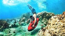 90-Minute Snorkel & Seabob Underwater Guided Reef Tour in Fort Lauderdale