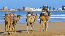 "Mogador Camel Expedition Ecotour | Private & Luxury