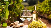 Northern Arizona Private Wine Tour south of Sedona - Verde Valley Wineries