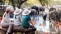 7 Days Best Luxury Safari To Tanzania