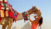 Giza Pyramids Camel Ride, 5 hours tour