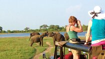 8-Day Private Wildlife Viewing and Chimpanzees Tracking Safari