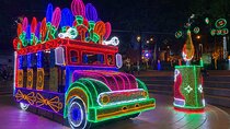 Medellin Christmas Lighting Private Tour