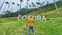Tour in the Cocora Valley short