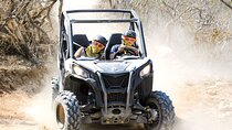 Side by Side Adventure in Los Cabos