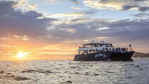 Sunset Dinner Cruise in Los Cabos