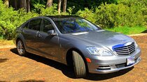 Private Tour on Maui with Luxury Mercedes S-Class