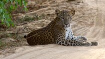 Yala National Park Private Safari